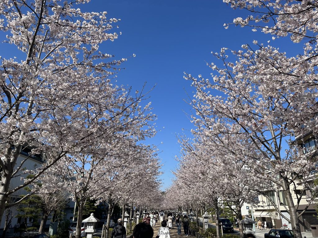 大切なもの、、、、！！！