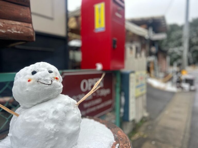 今日は雪が降りました♪