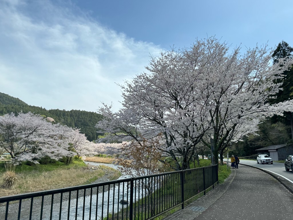 春爛漫、、、、！！！！！