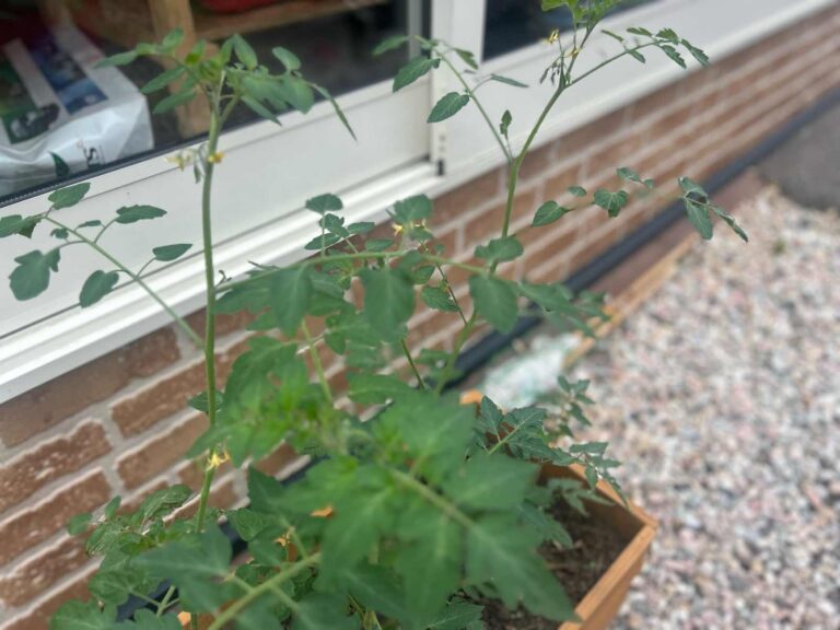 雰囲気ある♪