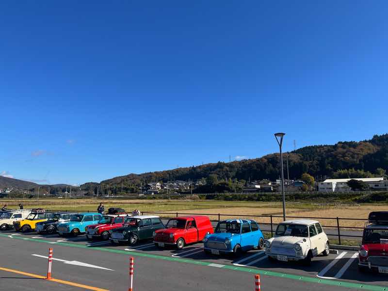 いつもそばにミニ、、、、、！！