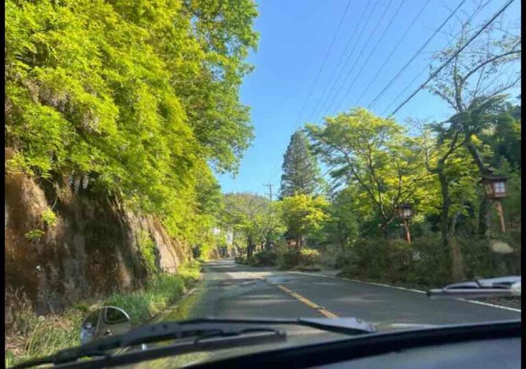 Miniはきっと時代を超えて、、♪