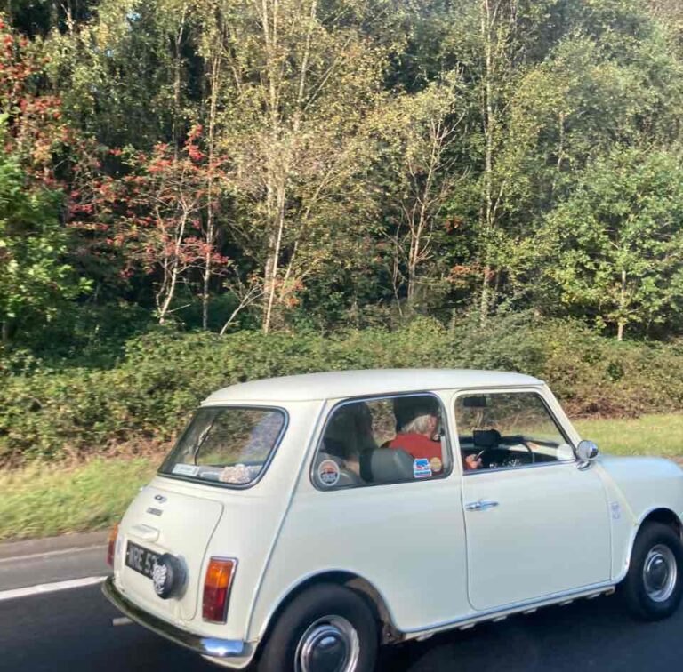 Mini1000.
