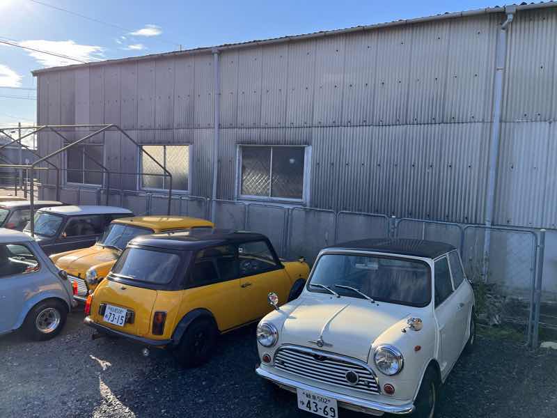 今日のキングスロード！！