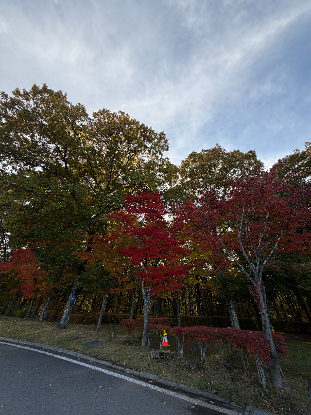 新たな刺激となり♪
