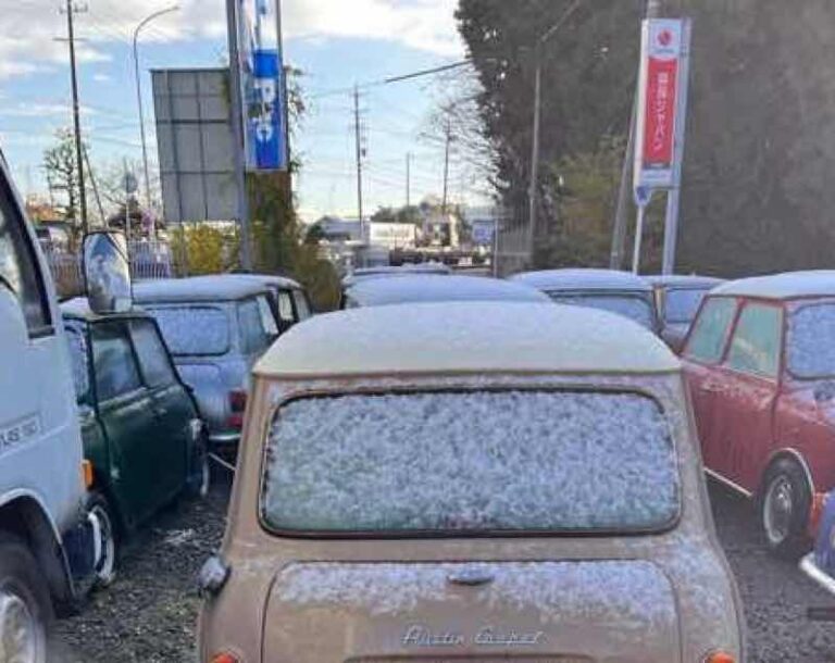 “愛情いっぱいのキングスロード”