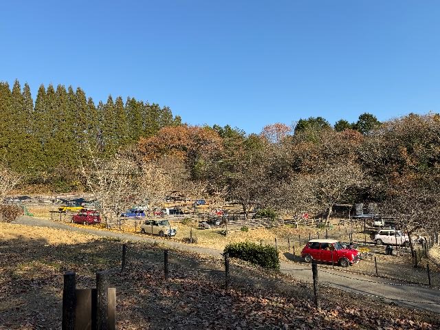 Miniと一緒が笑顔になる♪