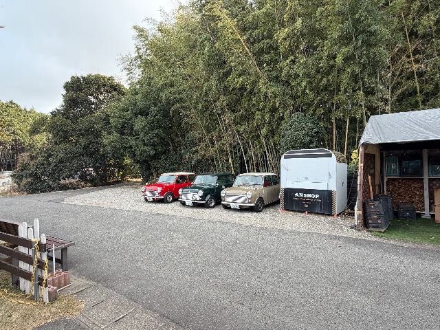 今日は雪が降りました♪