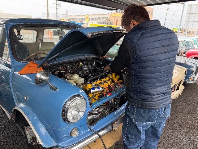 丁寧な手が入り♪