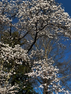 触れるたび、深まる輝き。