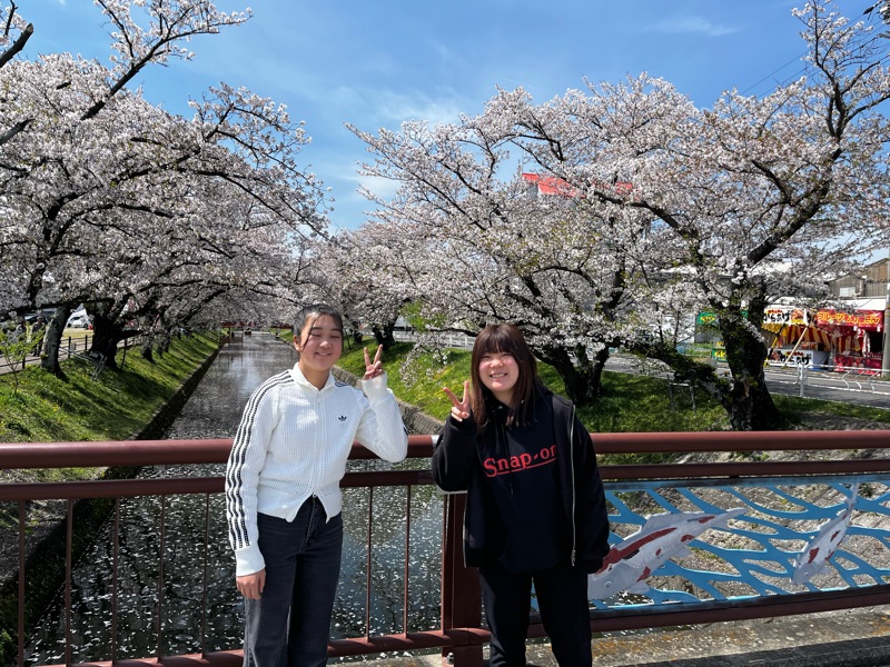 「藤壺マフラーの魔法」