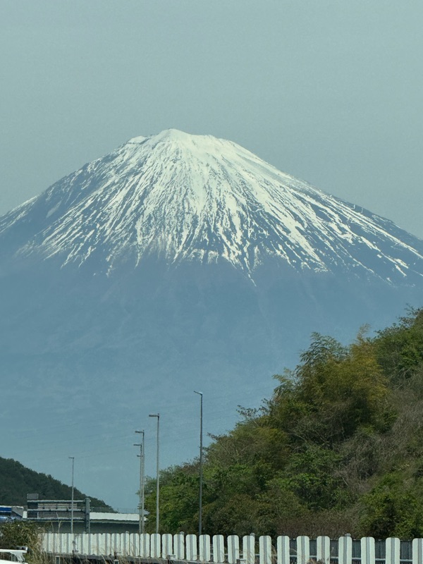 ネックライト！