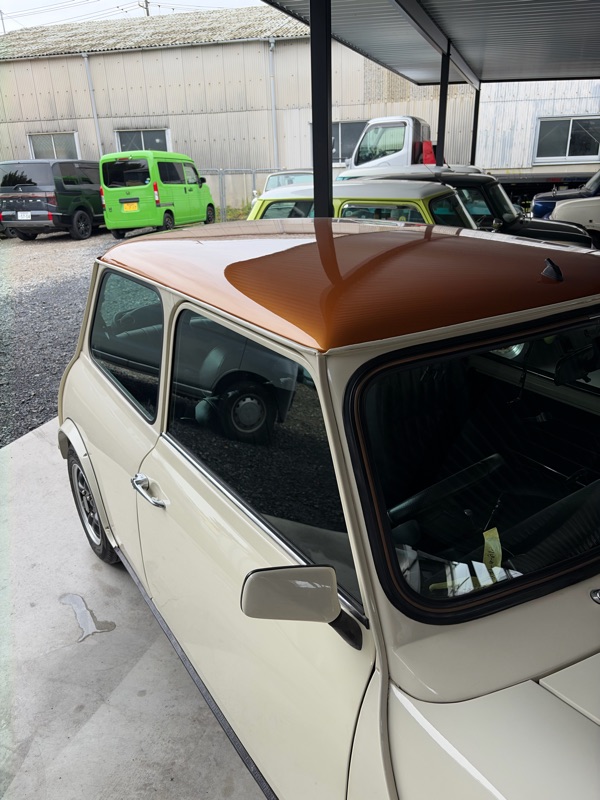 洗車がもっと楽しくなる純水の魅力。